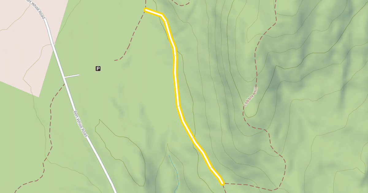Map preview of Skunk Brook