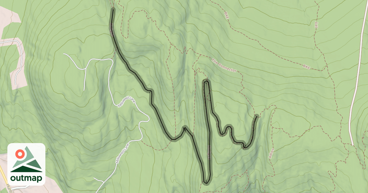 Map of Amigos