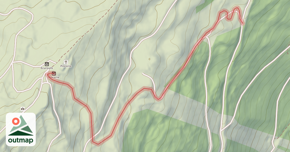 Map of Boarder cross
