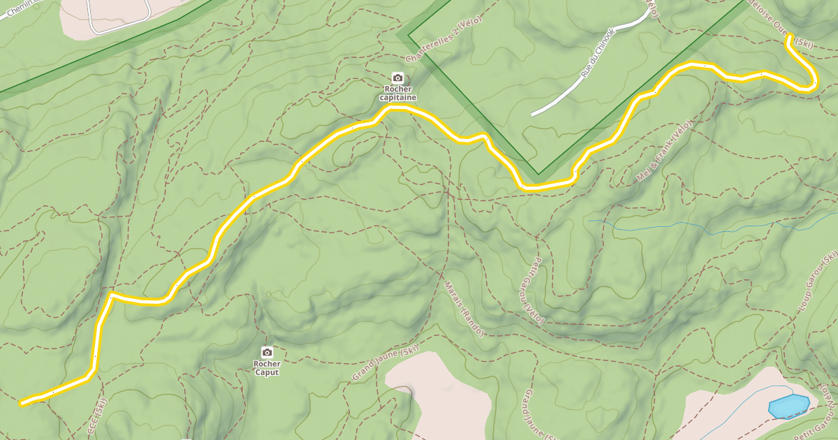 Map preview of Alexis (Ski)