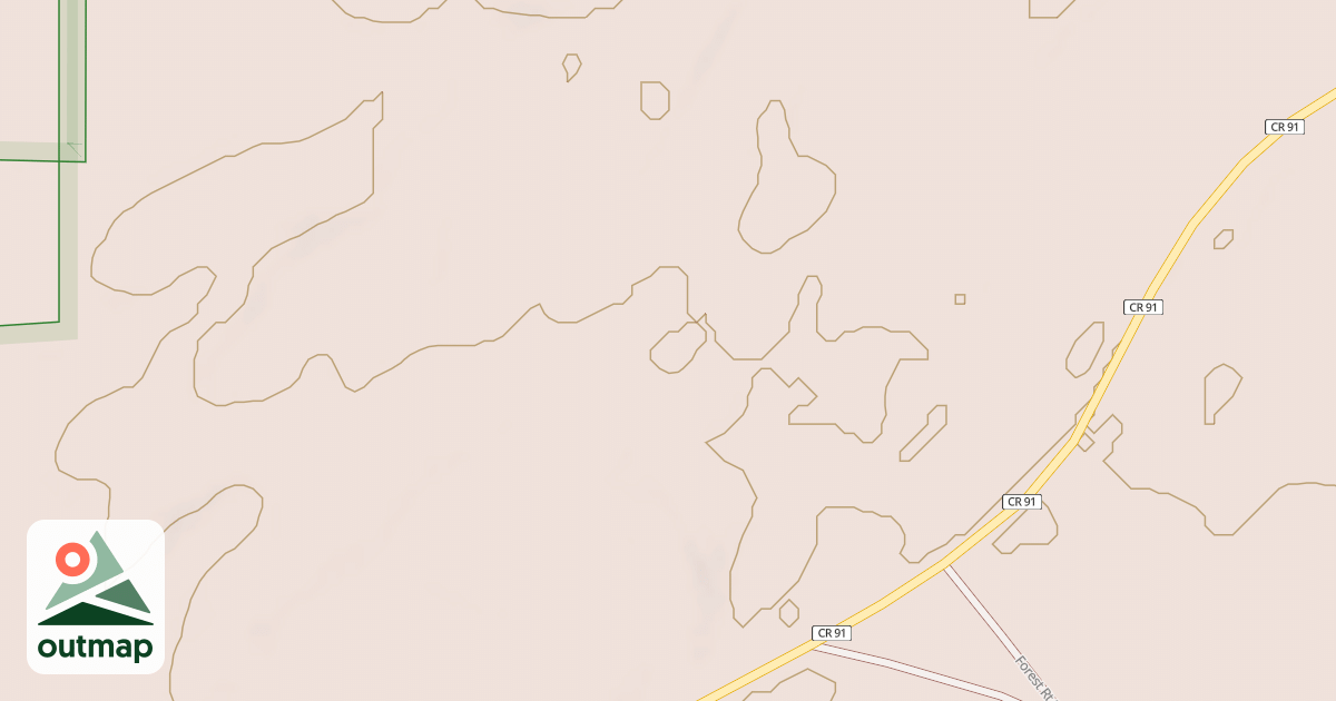 Map of CASS CO. 91 SPUR 2004