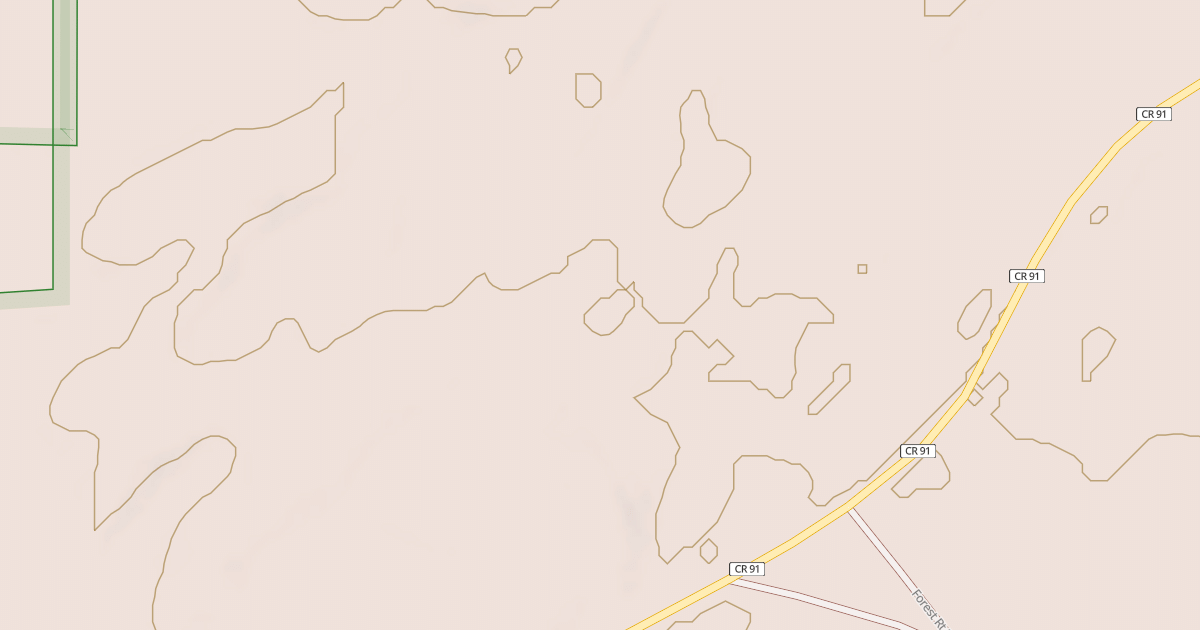 Map preview of CASS CO. 91 SPUR 2004