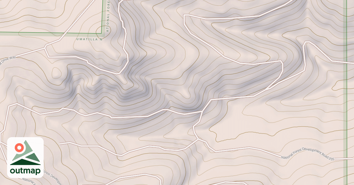 Map of USFS National Forest System Roads {0C8EF092-D5DF-46FF-BB6F-7F0E08B41917}