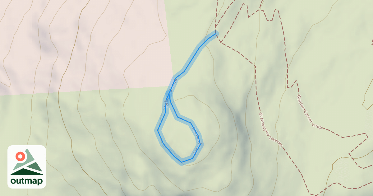 Map of Rebound Loop