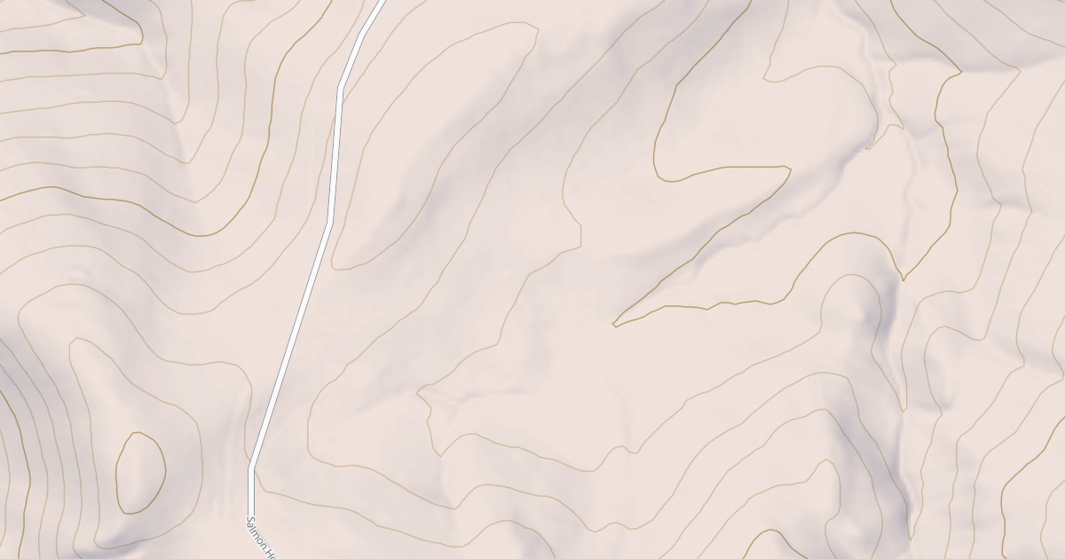 Map preview of BLM National GTLF Public Motorized Roads 21029048-684f-4dd6-bc7e-c208e2e40799
