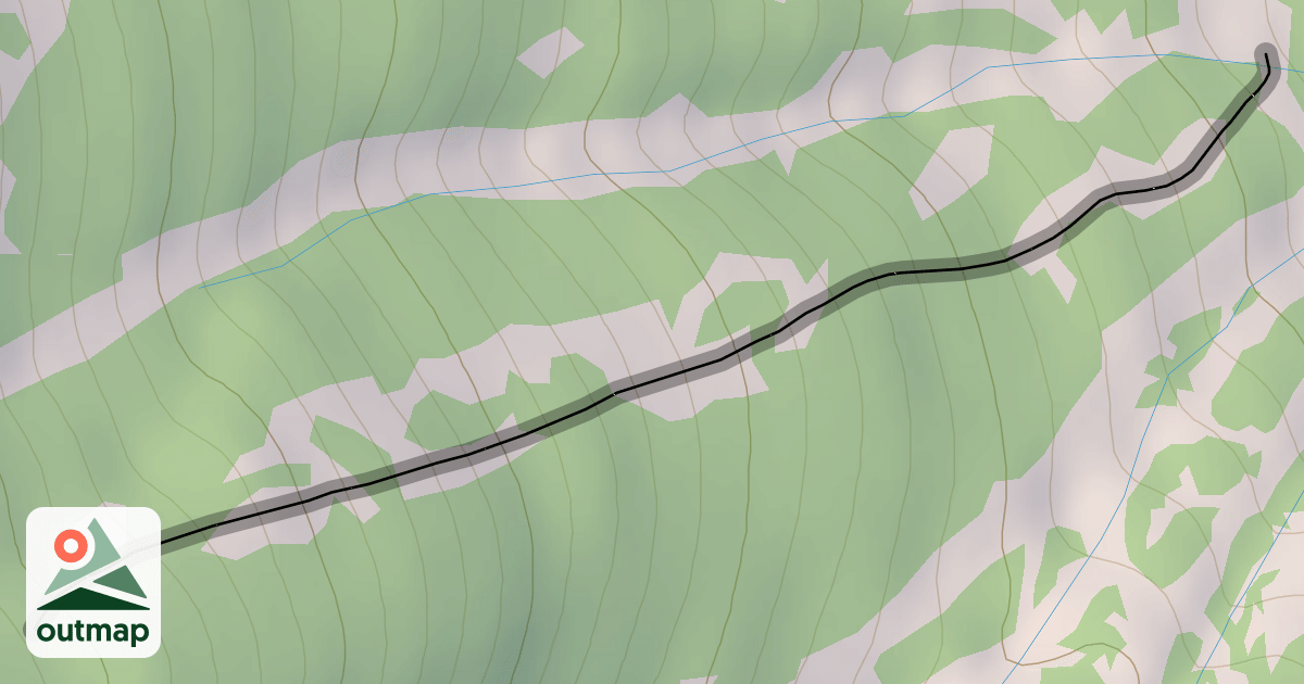 Map of Canopy Cruiser