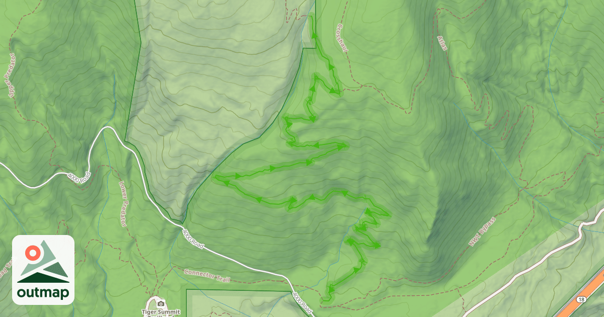 Map of Master Link