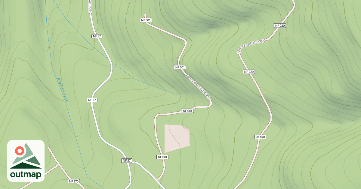 Map of BRODIE - TROUT T.S.'S