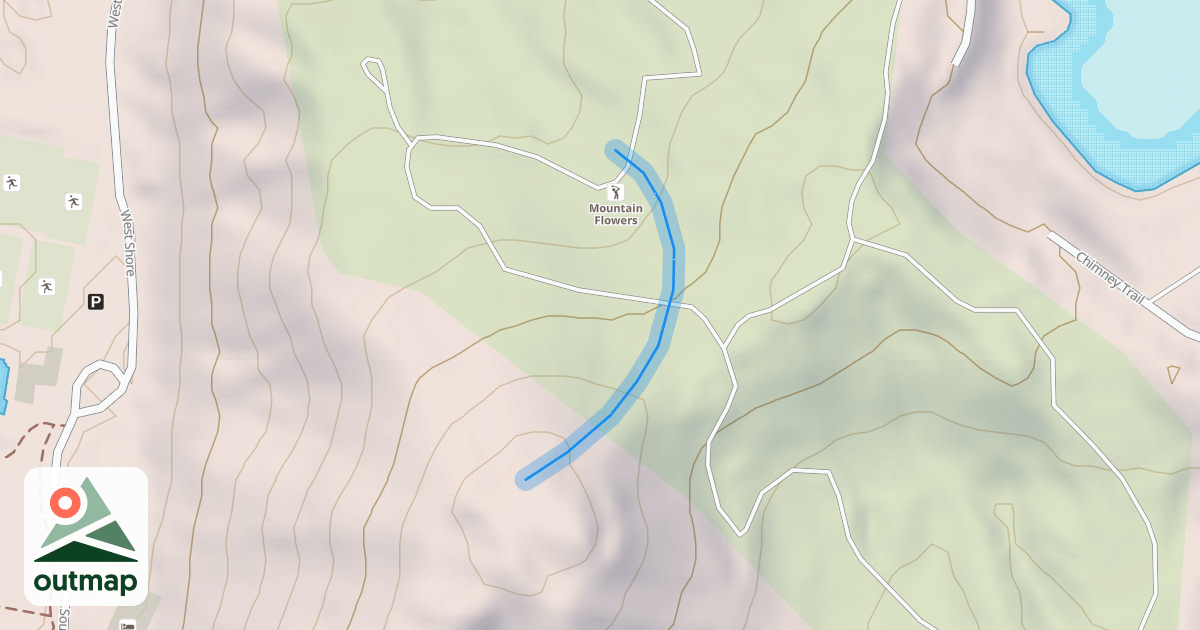 Map of Forget-Me-Not