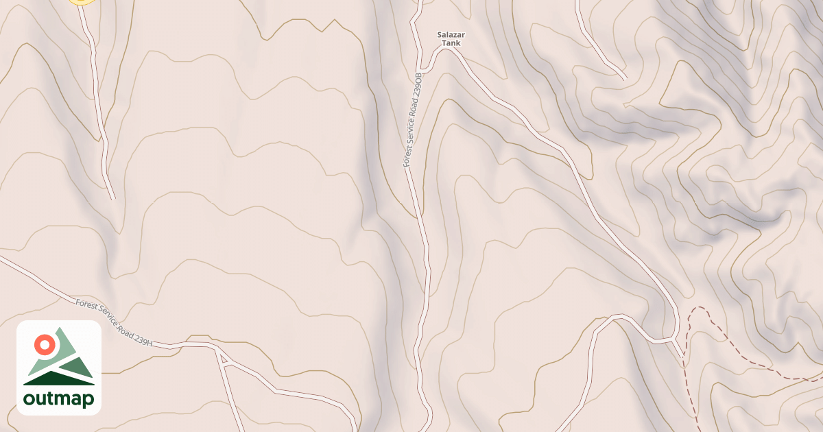 Map of USFS National Forest System Roads {83E467AC-986B-414D-AECB-DCEDE863D4E3}