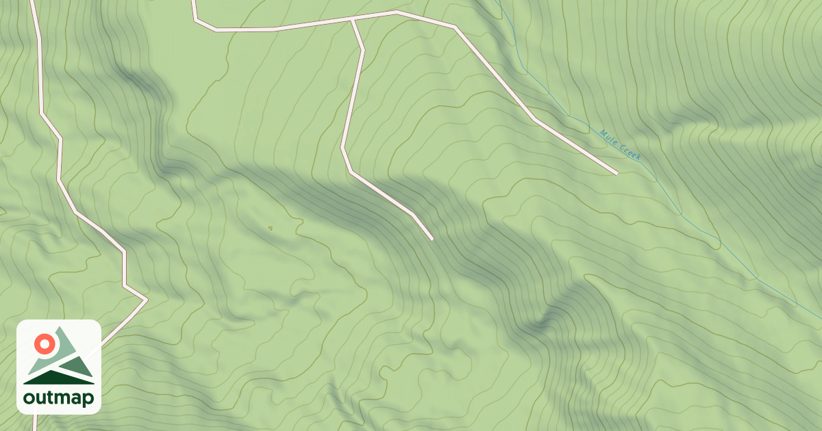 Map of USFS Motor Vehicle Use Map Roads {D339FDD5-E950-4008-8967-83196B62CAE3}