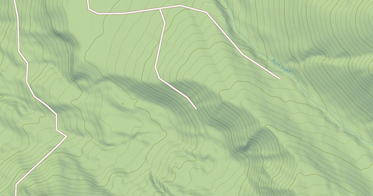 Map preview of USFS Motor Vehicle Use Map Roads {D339FDD5-E950-4008-8967-83196B62CAE3}