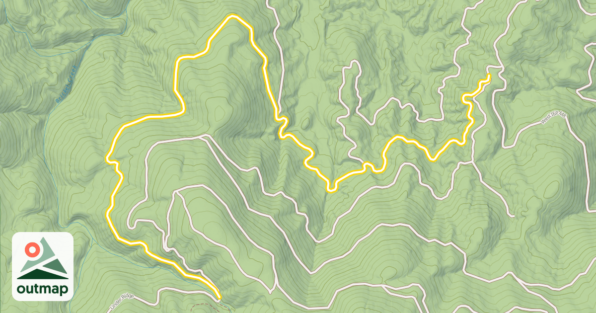 Map of Lower Tripp's Loop