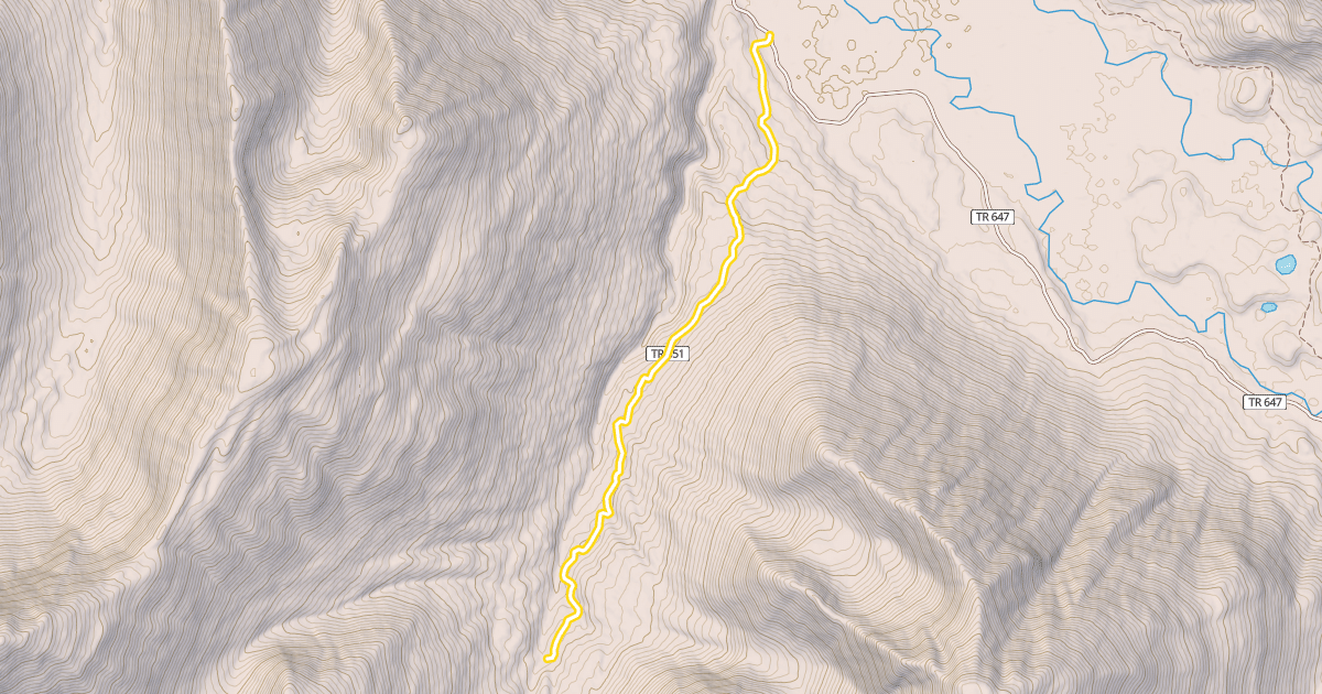 Map preview of Lynx Creek Trail