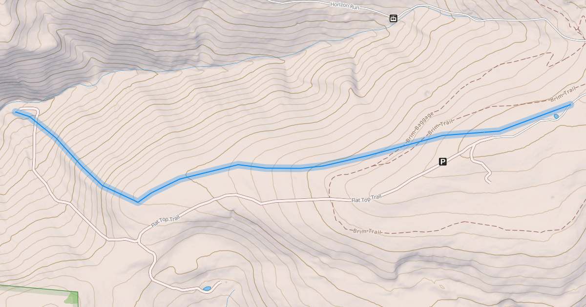 Map preview of Enchanted Forest