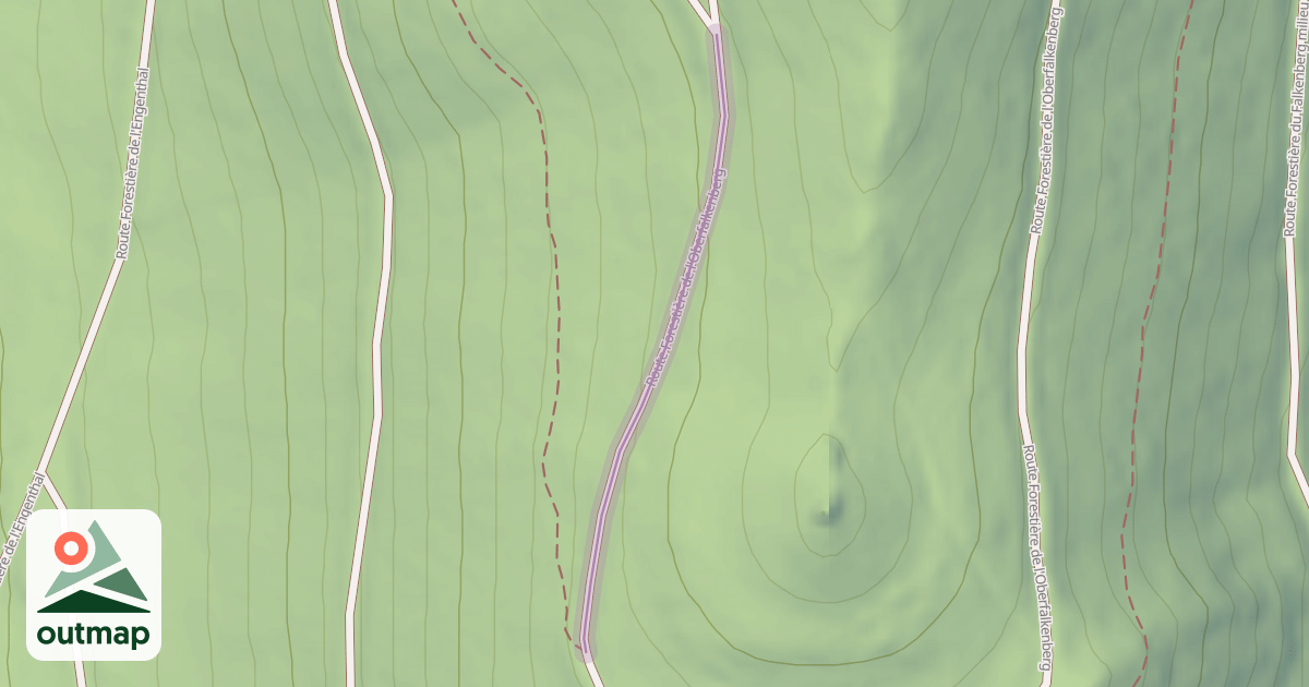 Map of Route Forestière de l'Oberfalkenberg