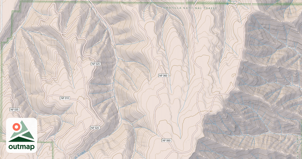 Map of USFS National Forest System Roads {9B1F8A22-AB59-49BA-9802-D7F21375DA4F}
