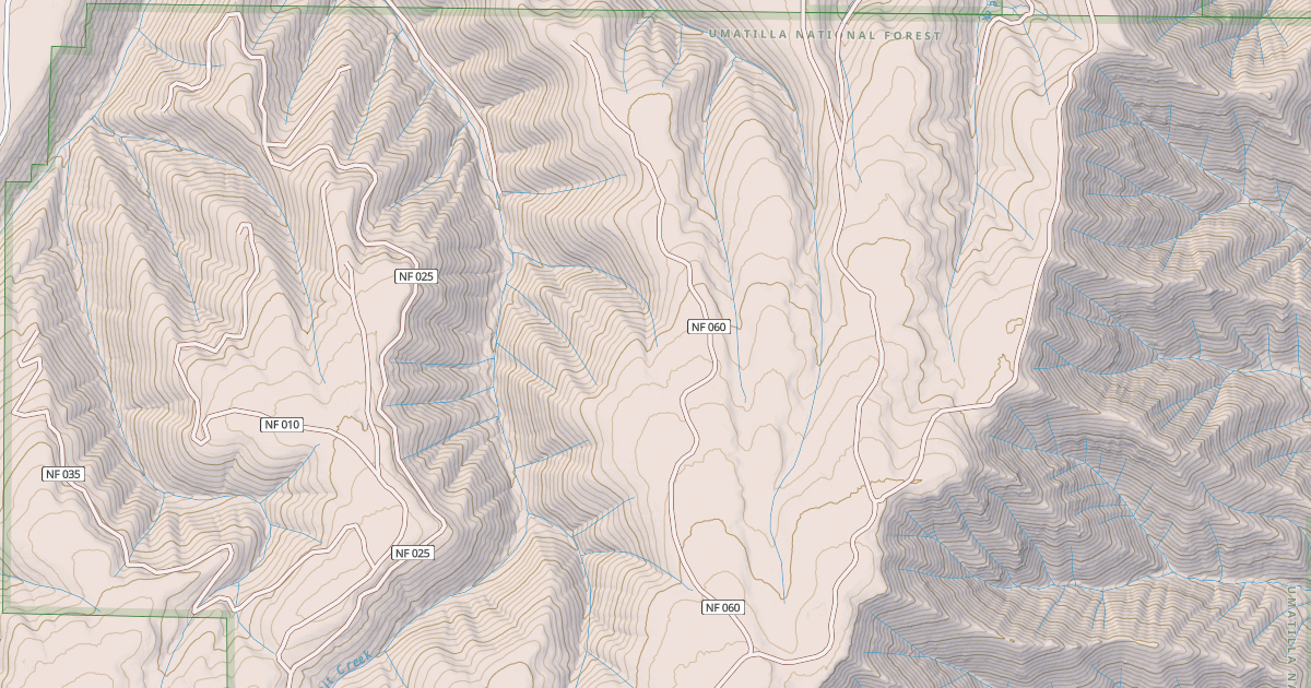Map preview of USFS National Forest System Roads {9B1F8A22-AB59-49BA-9802-D7F21375DA4F}