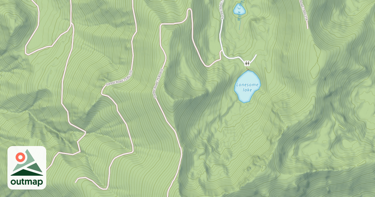 Map of USFS Motor Vehicle Use Map Roads {61CA86A6-8290-4A48-8004-8A92538D7F71}