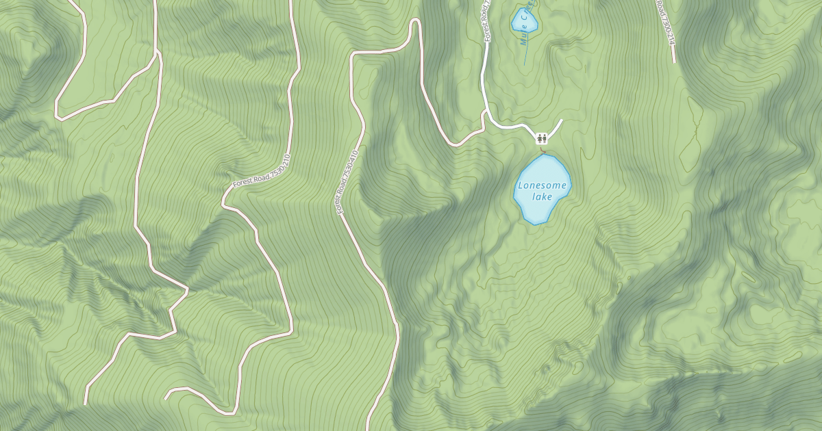 Map preview of USFS Motor Vehicle Use Map Roads {61CA86A6-8290-4A48-8004-8A92538D7F71}