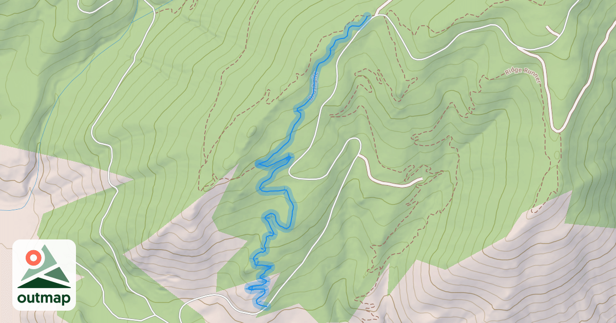 Map of Brushpile
