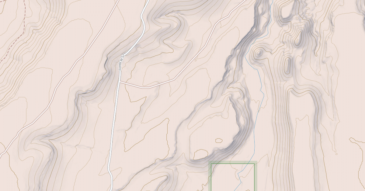 Map preview of USFS National Forest System Roads {16834C0E-EE70-41CE-8139-8A8AB7B3A78B}