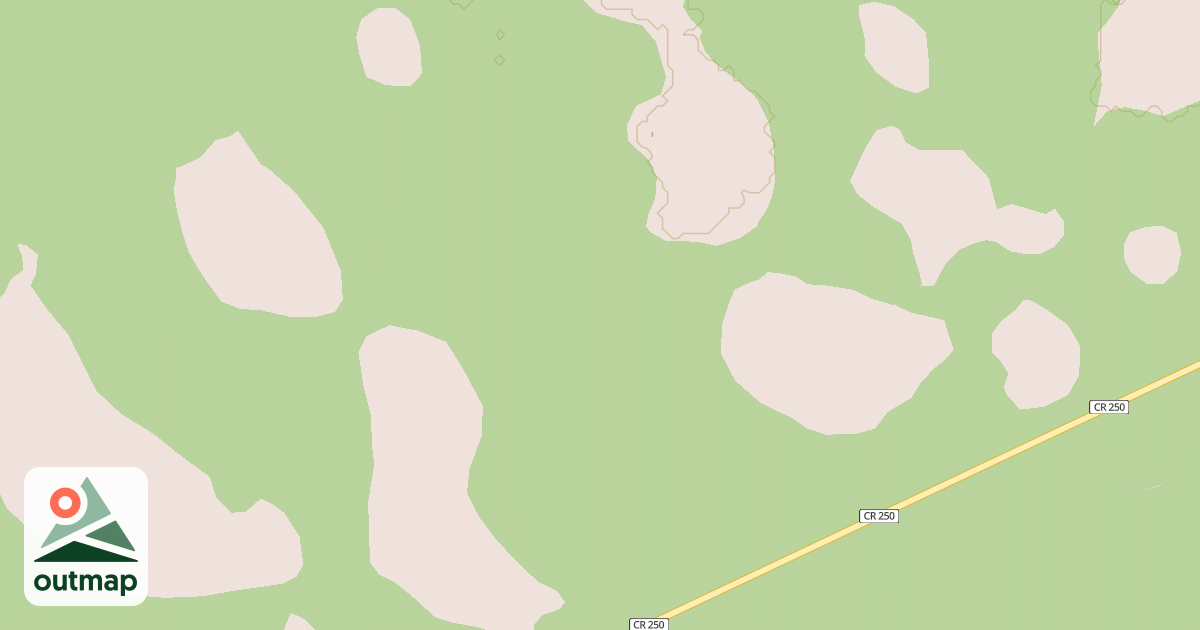 Map of USFS National Forest System Roads {CB356403-DC2E-423F-84D9-419B1634930B}