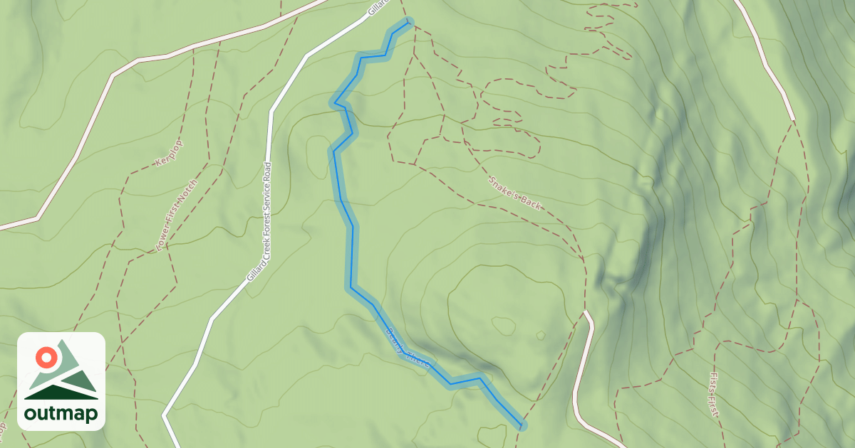 Map of Bearly There
