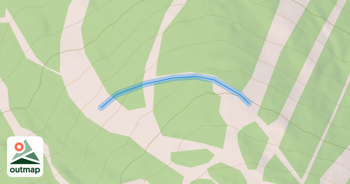 Map of Nell's Way