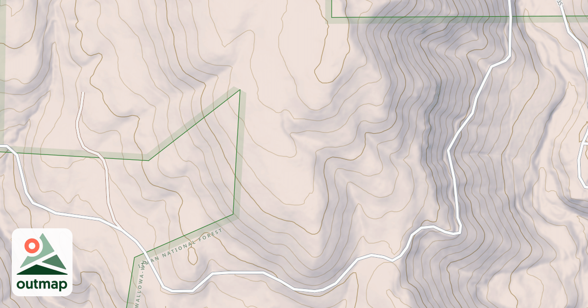 Map of USFS National Forest System Roads {5CE0F1D0-8BD1-4CC9-AFF9-4C14F970746B}