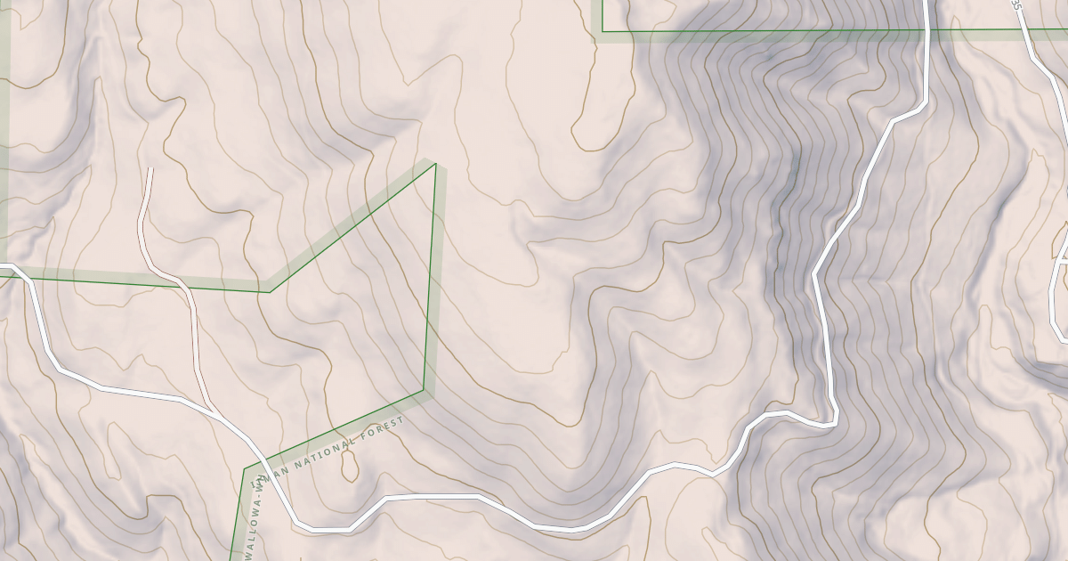 Map preview of USFS National Forest System Roads {5CE0F1D0-8BD1-4CC9-AFF9-4C14F970746B}