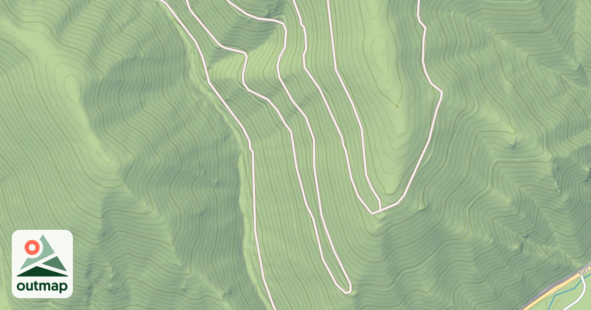 Map of (FDR) FLAT-BEETLE
