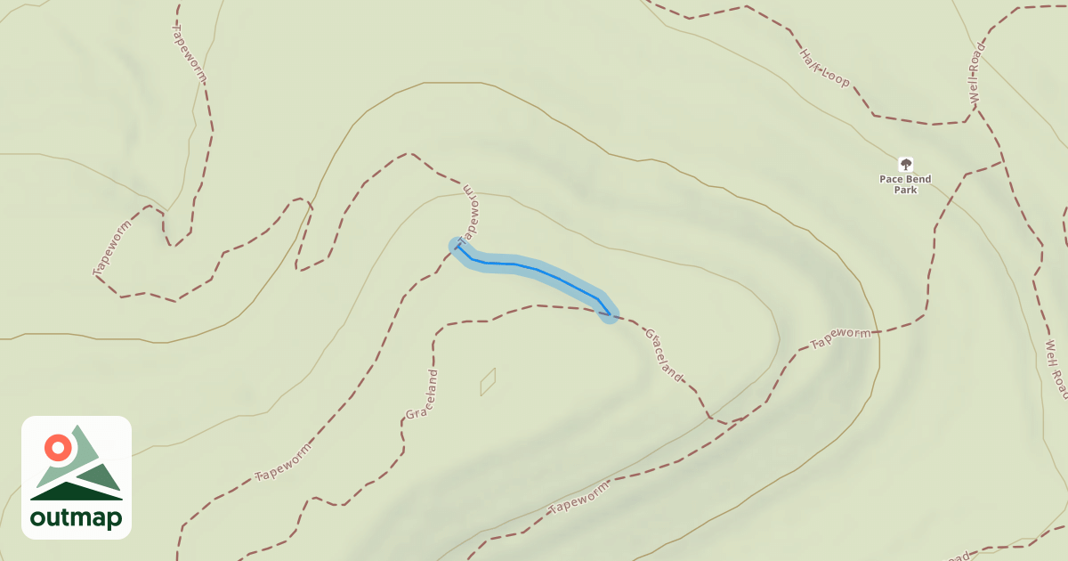 Map of Tapeworm