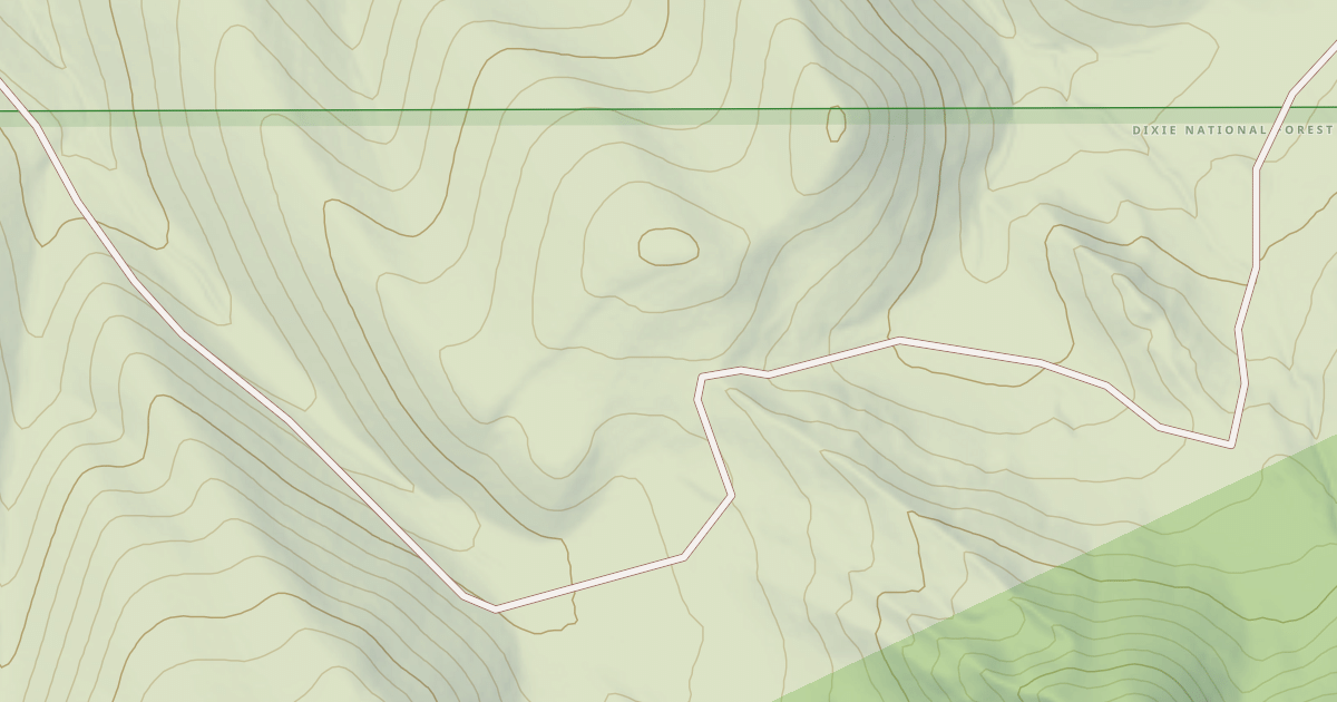 Map preview of USFS Motor Vehicle Use Map Roads {5C6C8FE1-8374-4811-894D-ACB696E41FE6}