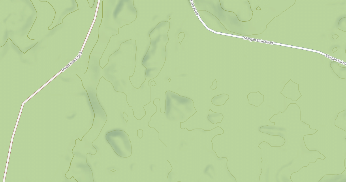 Map preview of USFS Motor Vehicle Use Map Roads {9141414E-09EF-4E81-A1A3-B636EB698A58}