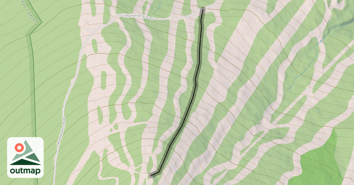 Map of Shredwood Forest