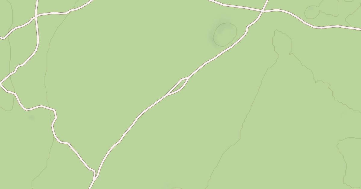 Map preview of USFS Motor Vehicle Use Map Roads {EE39309D-28F4-40A6-91A8-030C7521AB6B}