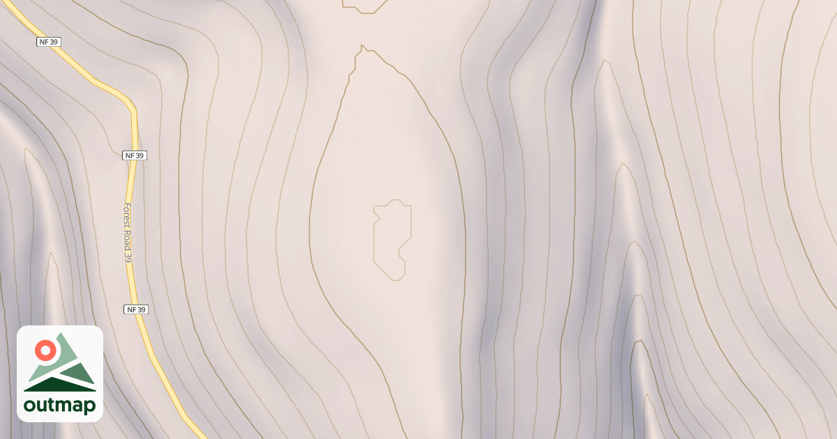 Map of S394N NEE