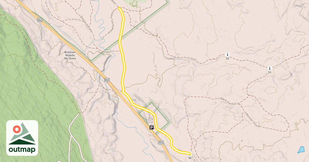 Map of Dark Forest