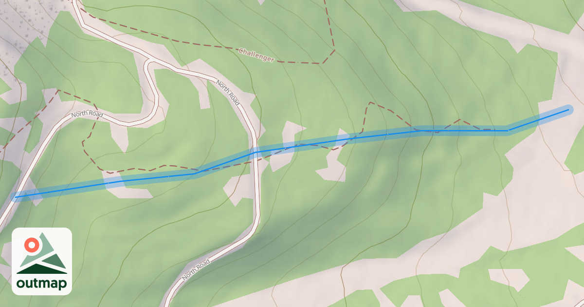 Map of Forbidden Forest