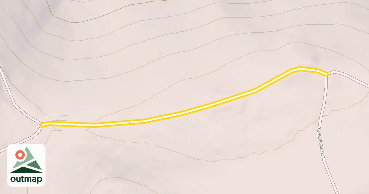 Map of Forest Road 313