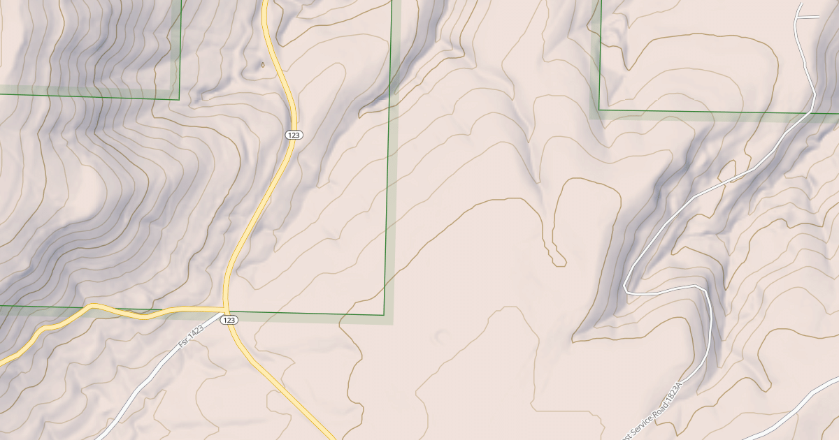 Map preview of USFS National Forest System Roads {66D953C3-05D4-44B7-B53A-602A1DF3BEBC}
