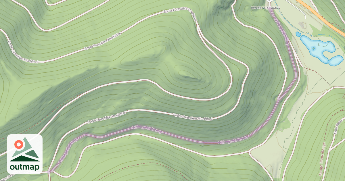 Map of Schlangenthalerweg