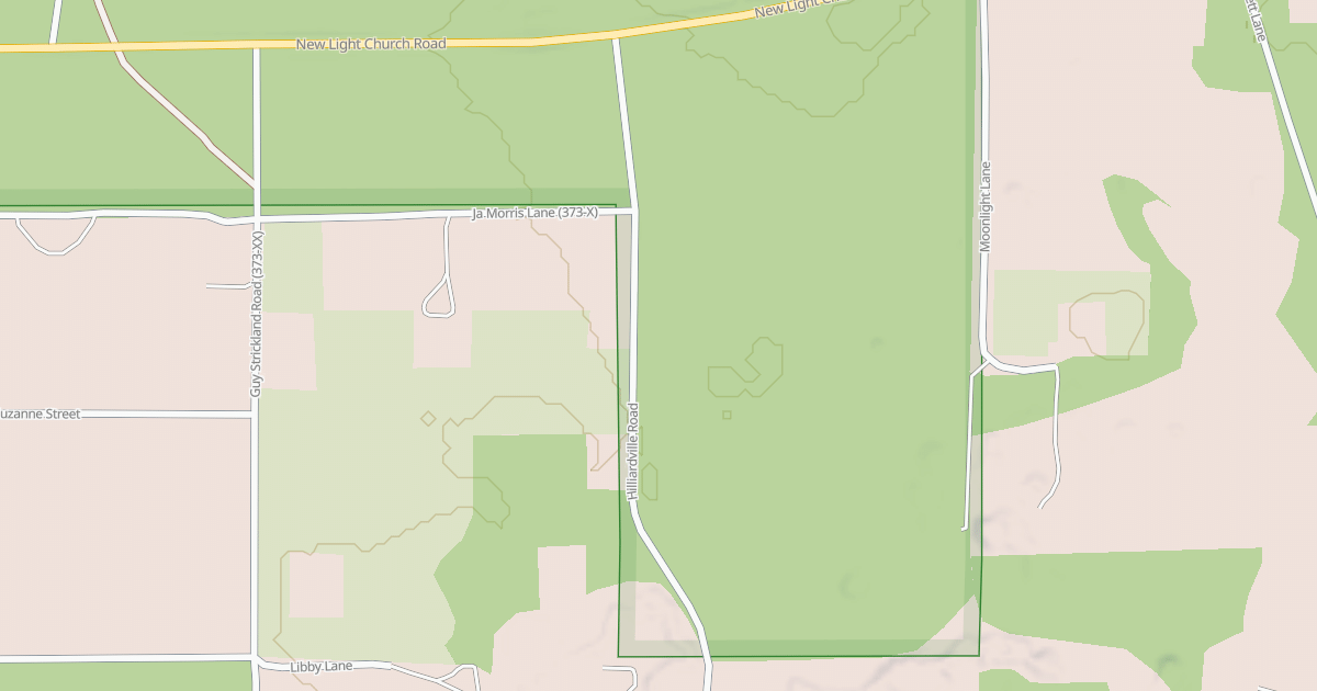 Map preview of USFS National Forest System Roads {BF3B026C-FA4A-4889-B87A-F2E451961D85}