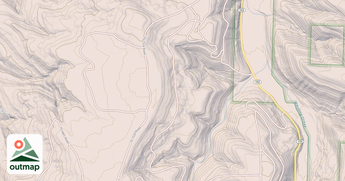 Map of USFS National Forest System Roads {66E183CD-D67D-4FFE-A1F0-A050FC2D300D}