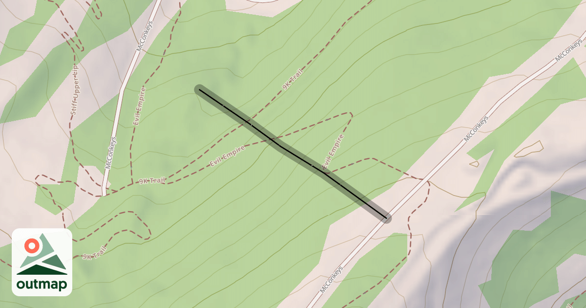Map of Molly's