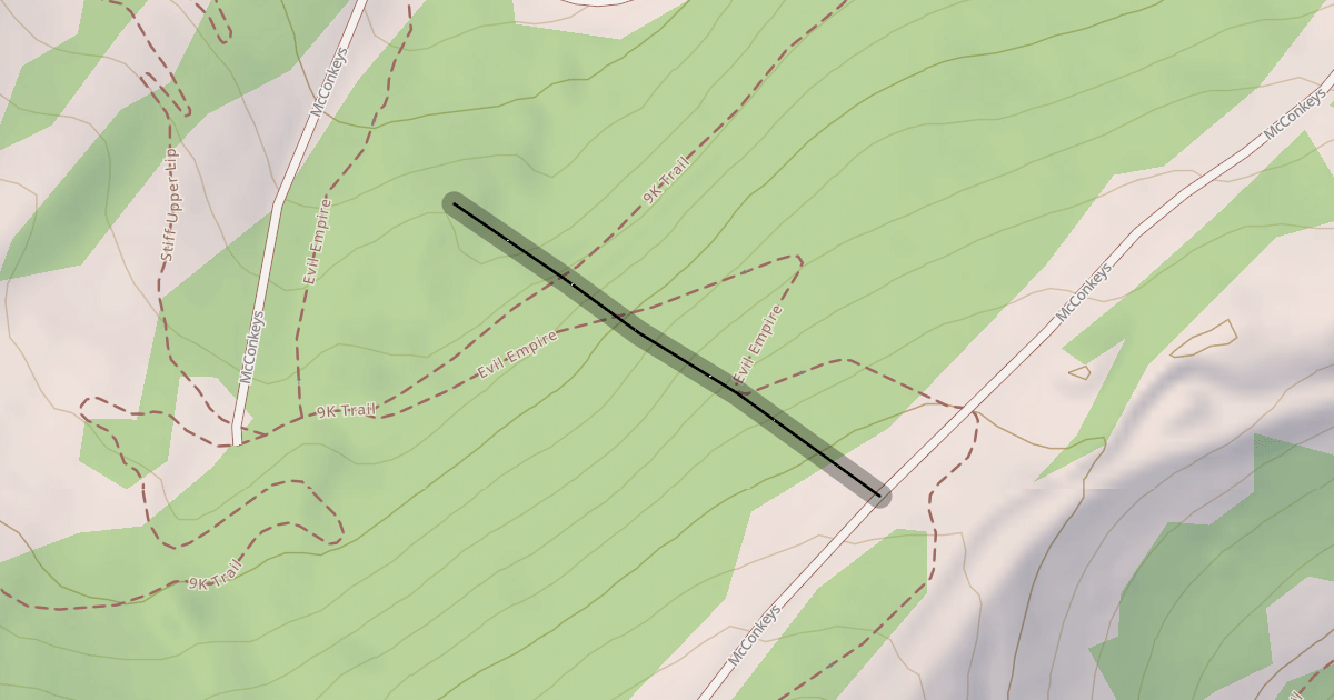 Map preview of Molly's
