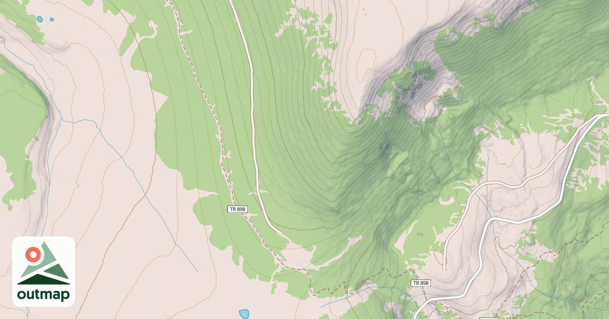 Map of Shady