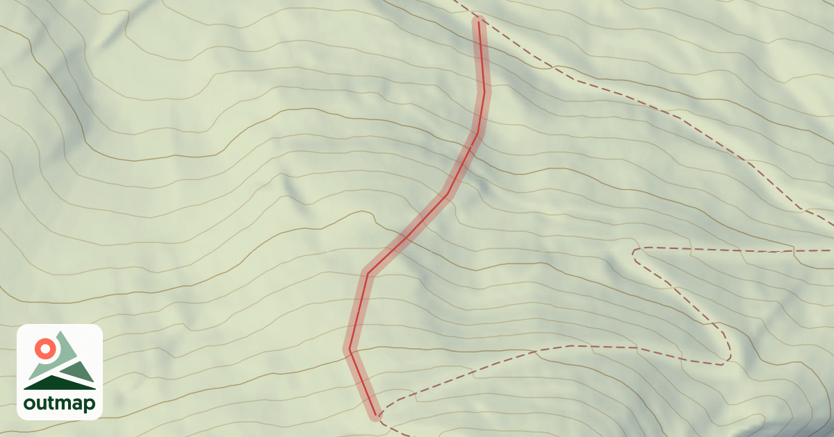 Map of Tetras