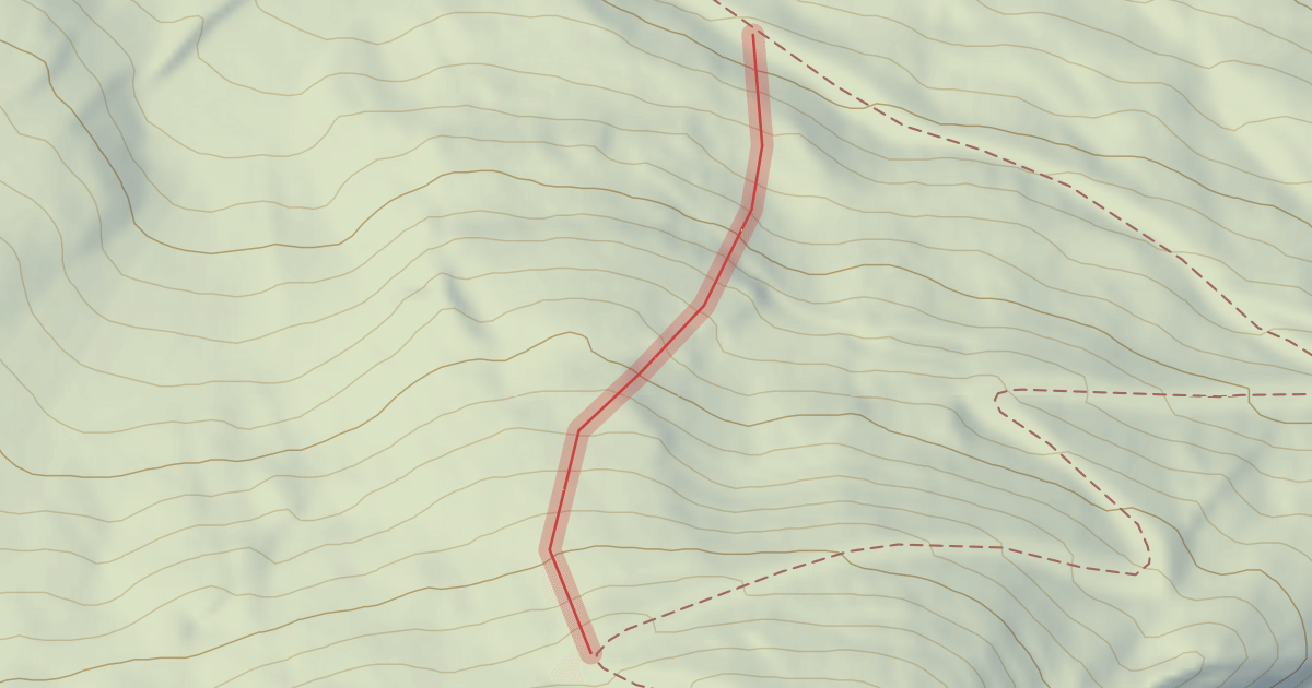 Map preview of Tetras